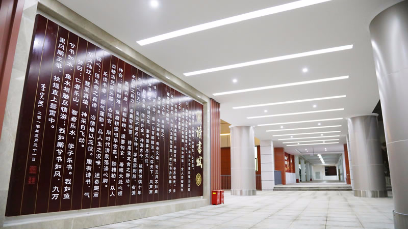 安州東辰國(guó)際學(xué)校圖片展示