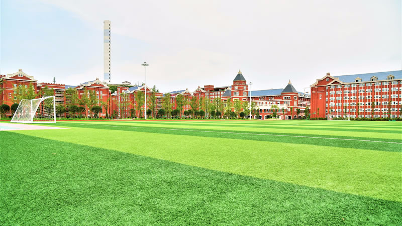 宜賓東辰國(guó)際學(xué)校圖片展示