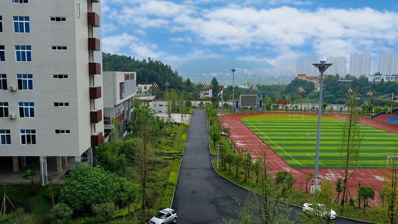 南部縣東辰國際學(xué)校圖片展示