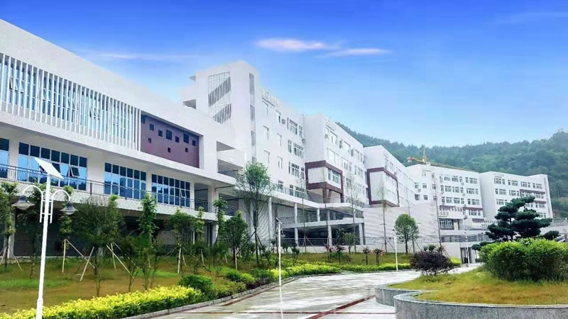 南部縣東辰國際學(xué)校圖片展示